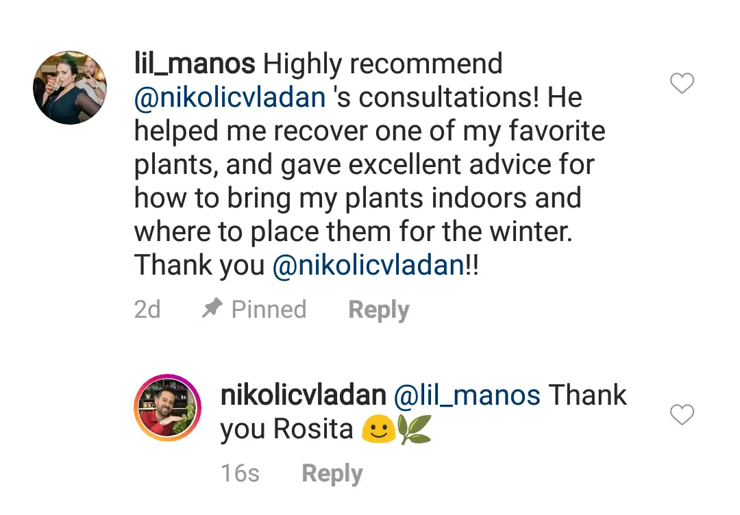 MrHouseplant-Testimonial (2)