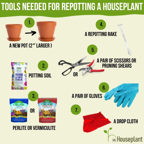 Photo represents tools used for repotting such as gloves, pots, potting soil, repotting rake, scissors