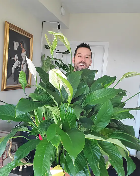 Mr.-Houseplant-and-Peace-Lily Mr. Houseplant and Peace Lily