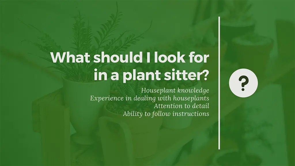 What should I look for in a plant sitter