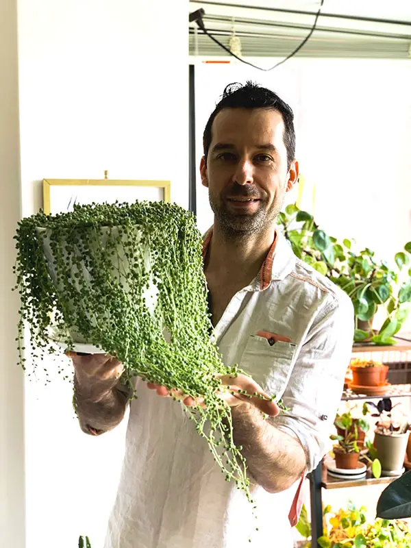 Mr. Houseplant is smiling and holding a String of Pearls plant which is a white pot