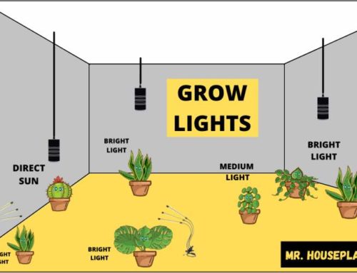 Grow Light Electricity Cost: Are These Lights Economical?