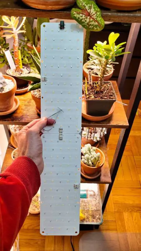 How to Set Up a Plant Shelf With Grow Lights Mr.Houseplant