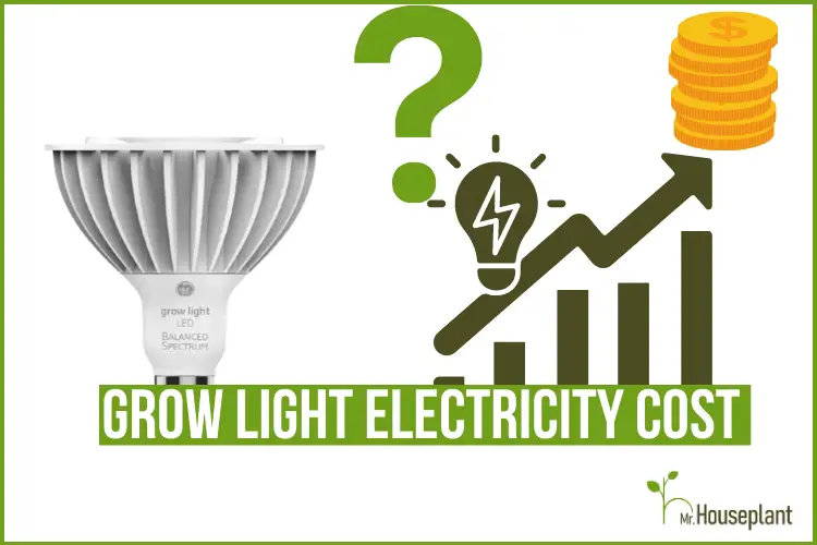 Light Electricity Cost: Are These Economical? - Mr.Houseplant