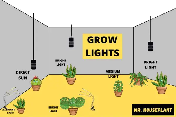 Led grow light cost on sale per month