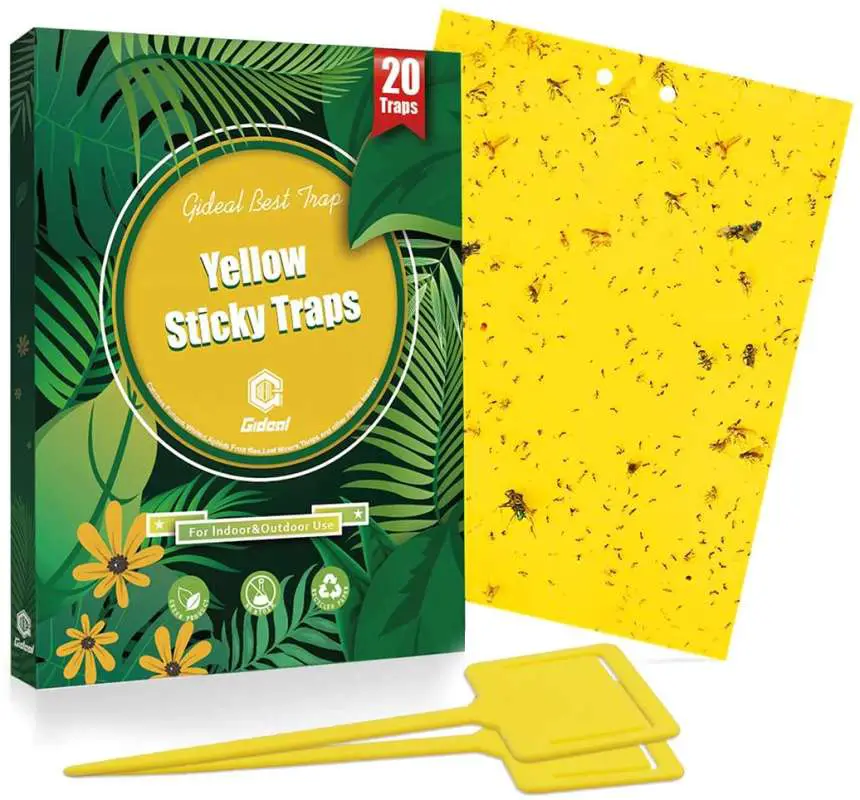 3 and 15-yellow_sticky_traps yellow sticky traps