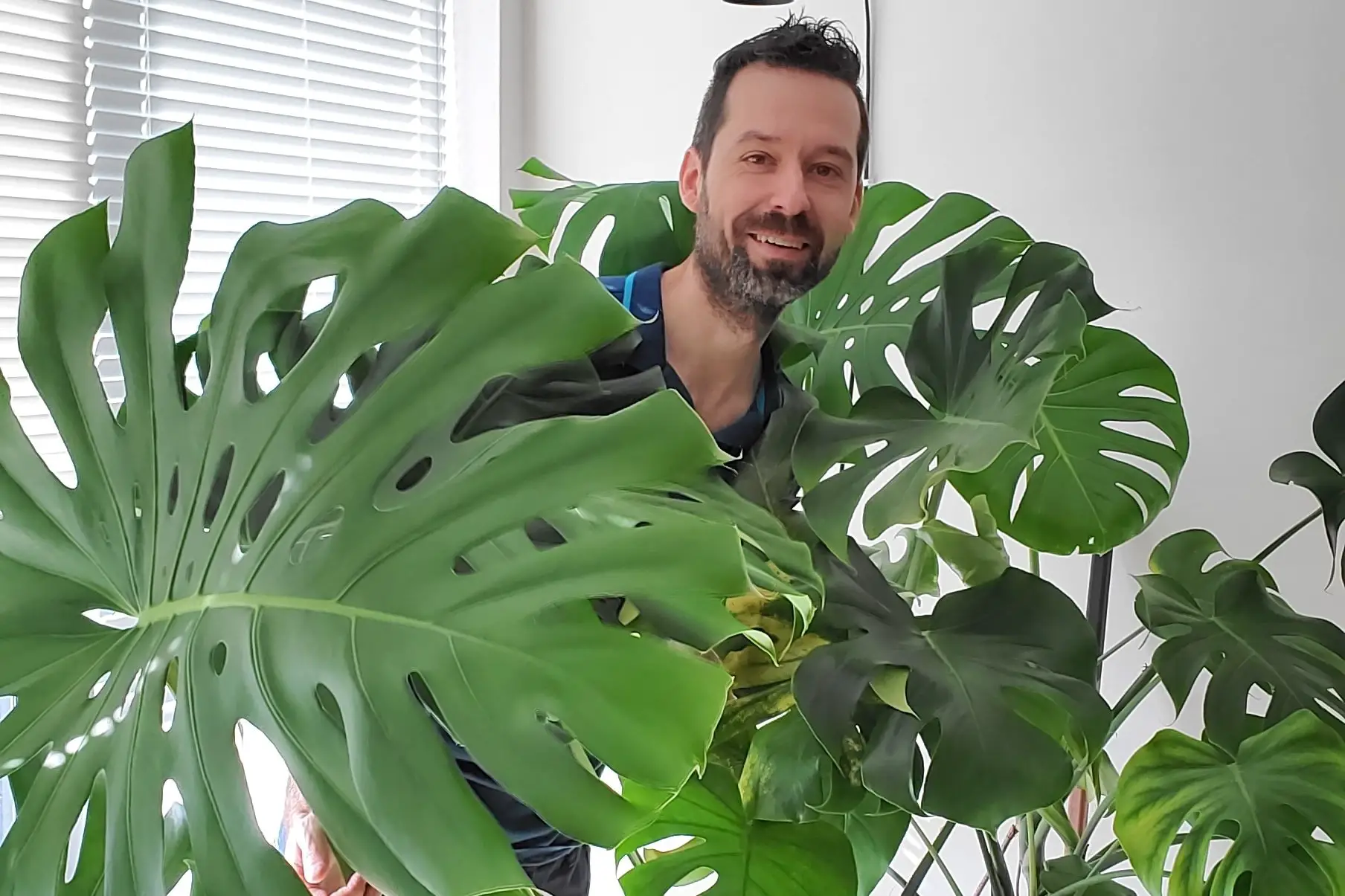 featured photo mr houseplant and his monstera