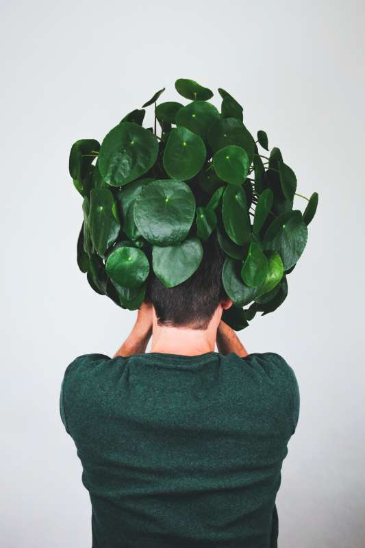 A person is holding a plant at the level of his head