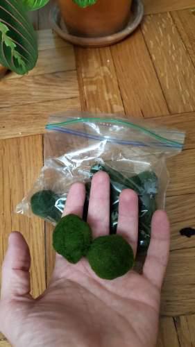 Can I pull apart marimo moss balls and use them to do other things