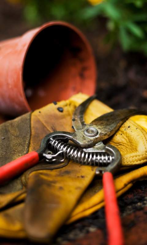 Pruning shears laid on a yellow gardening glove next to a flower pot