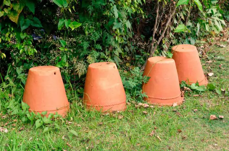 four pots with drainage wholes on the ground