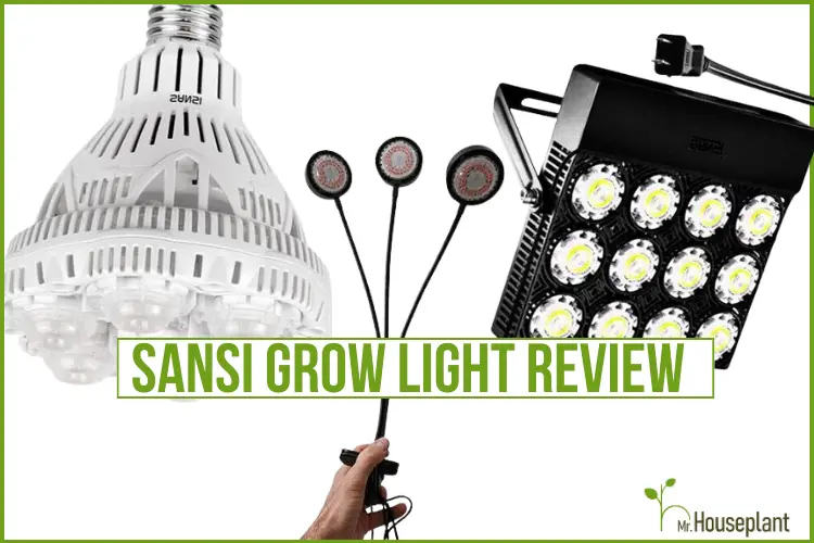 featured-sansi grow light review