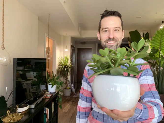 Mr. Houseplant is smiling and holding a Jade Plant in its white pot