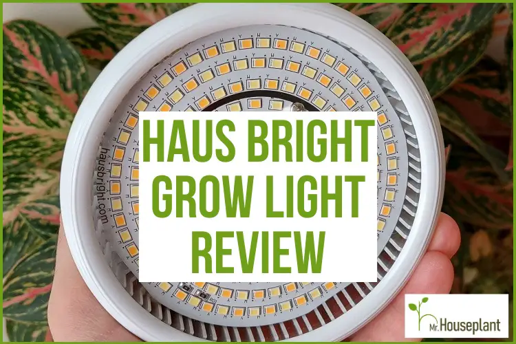 featured-haus bright grow light review-1