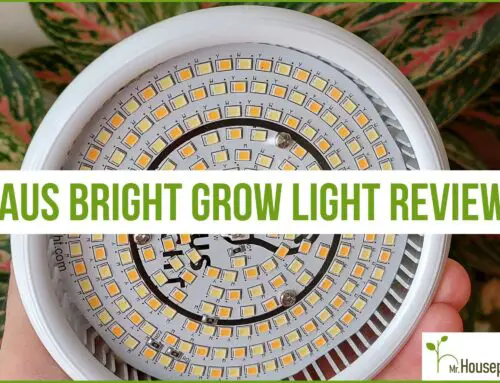 Haus Bright Grow Light Review 2023 (To BUY Or Not?)