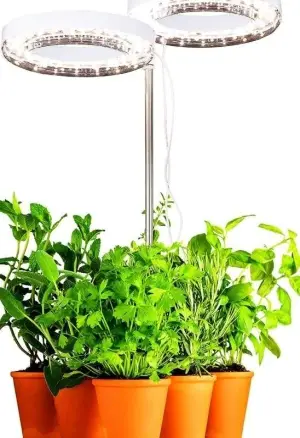 grow light for indoor plants