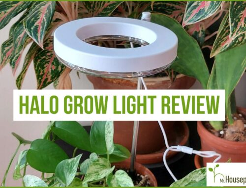 Halo Grow Light Review 2023 (Read BEFORE Buying)
