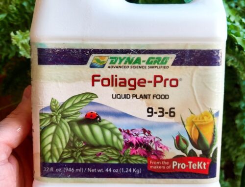 Dyna Gro Foliage Pro Review (The BEST Fertilizer?)
