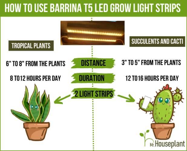 How to use Barrina T5 led grow light strips infographic