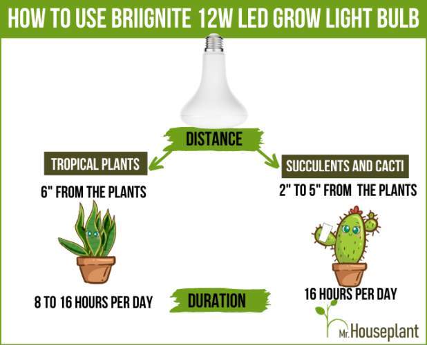 how to use Briignite 12W LED Grow Light Bulb