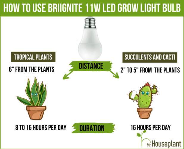 how to use Briignite 11W LED Grow Light Bulb