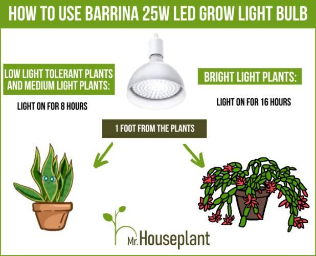 How to use Barrina 25w grow light bulb