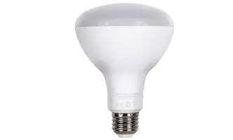 Dommia 12W LED Grow Bulb