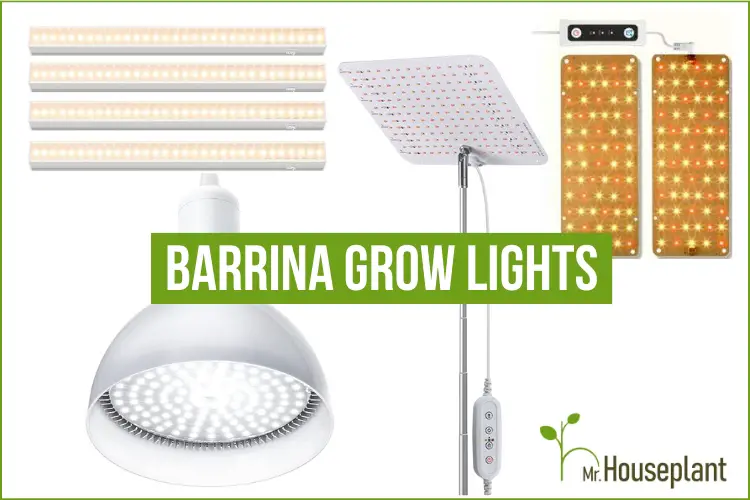 Barrina grow lights