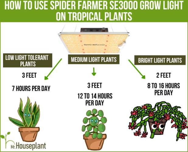 How to use SE3000 grow light on tropical plants
