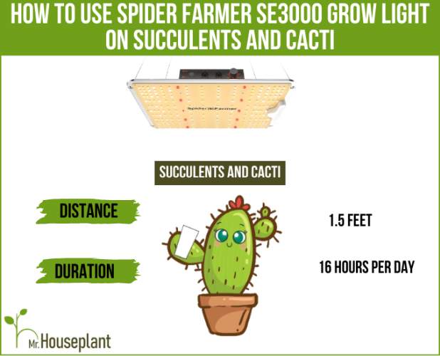 How to use SE3000 grow light on succulents and cacti