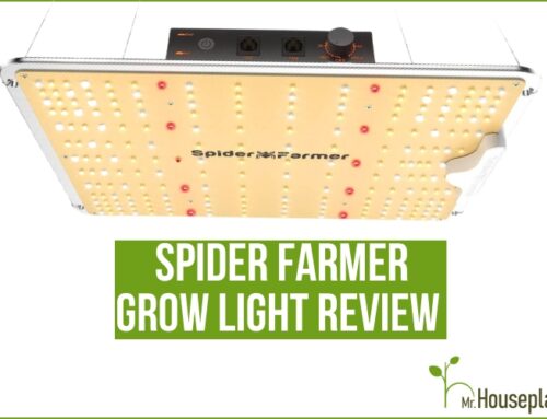 Spider Farmer Grow Light Review (JULY 2023)