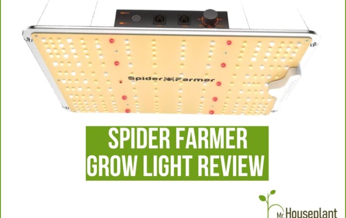 Featured-Spider Farmer grow light review
