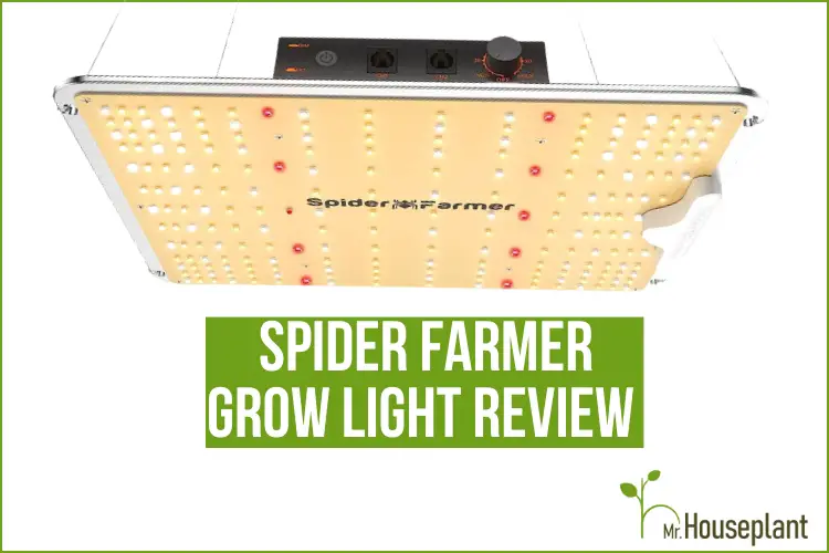 Featured-Spider Farmer grow light review