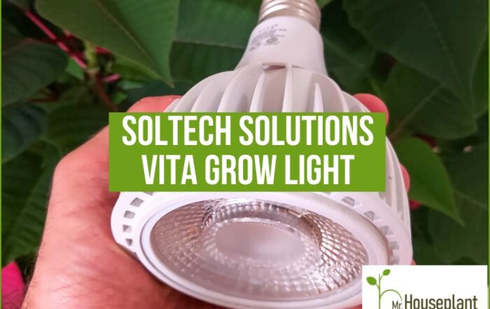 featured-vita grow light