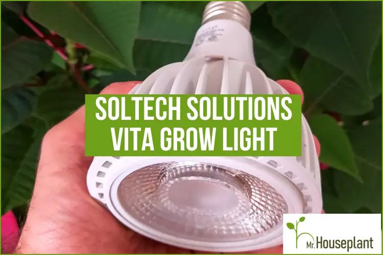 featured-vita grow light