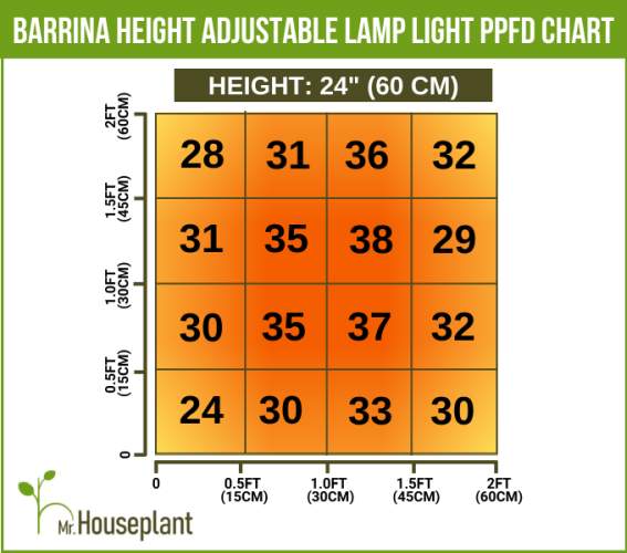 Coverage area and light output of Barrina height adjustable lamp from 24" away